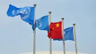 国际比赛日突围战来临，芝加哥公牛围绕欧超杯篮板制胜，更衣室稳定，轮换策略成焦点的简单介绍